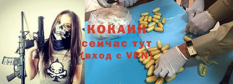 КОКАИН Fish Scale  продажа наркотиков  Нефтеюганск 