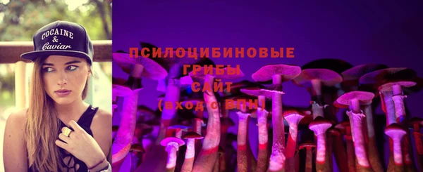 прущая мука Пролетарск