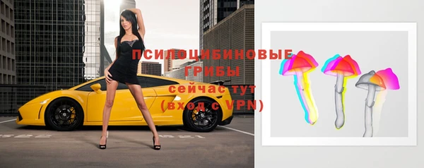 прущая мука Пролетарск