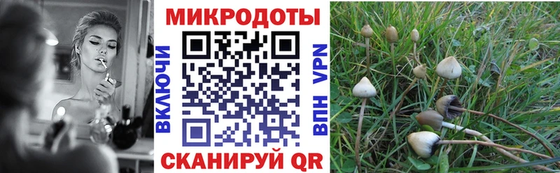 Псилоцибиновые грибы Psilocybine cubensis  Нефтеюганск 